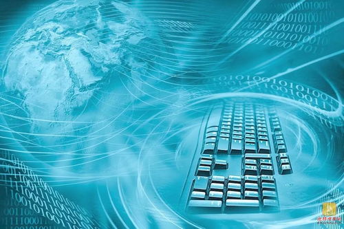 警惕网络风险 在阿联酋使用互联网服务时如何保护个人隐私