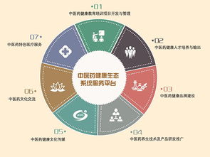 藏象集团 引领互联网数据服务新纪元的创新力量